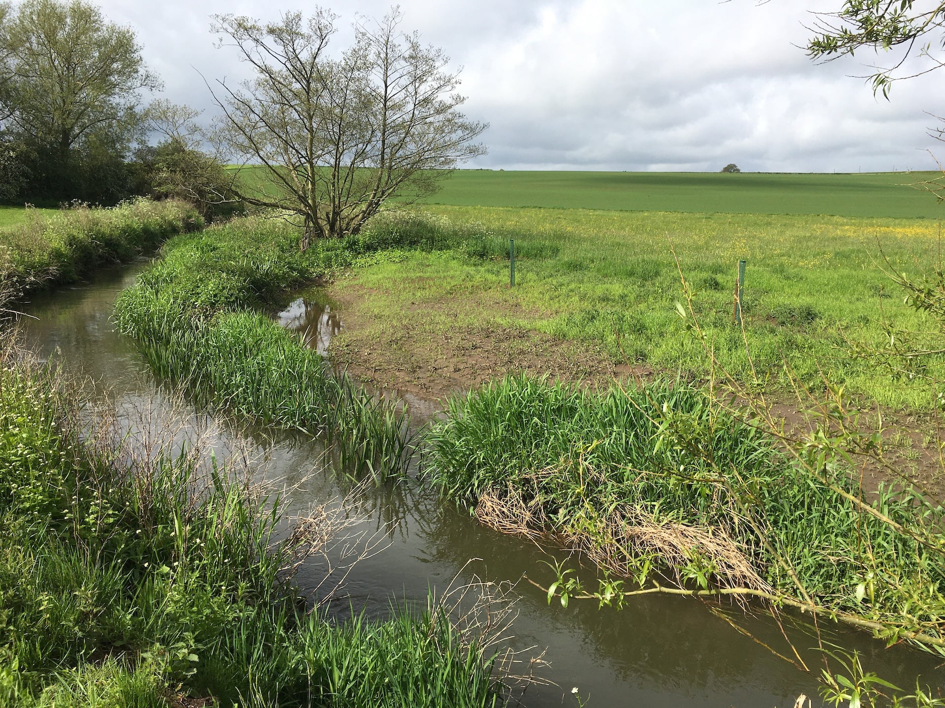 River Mease