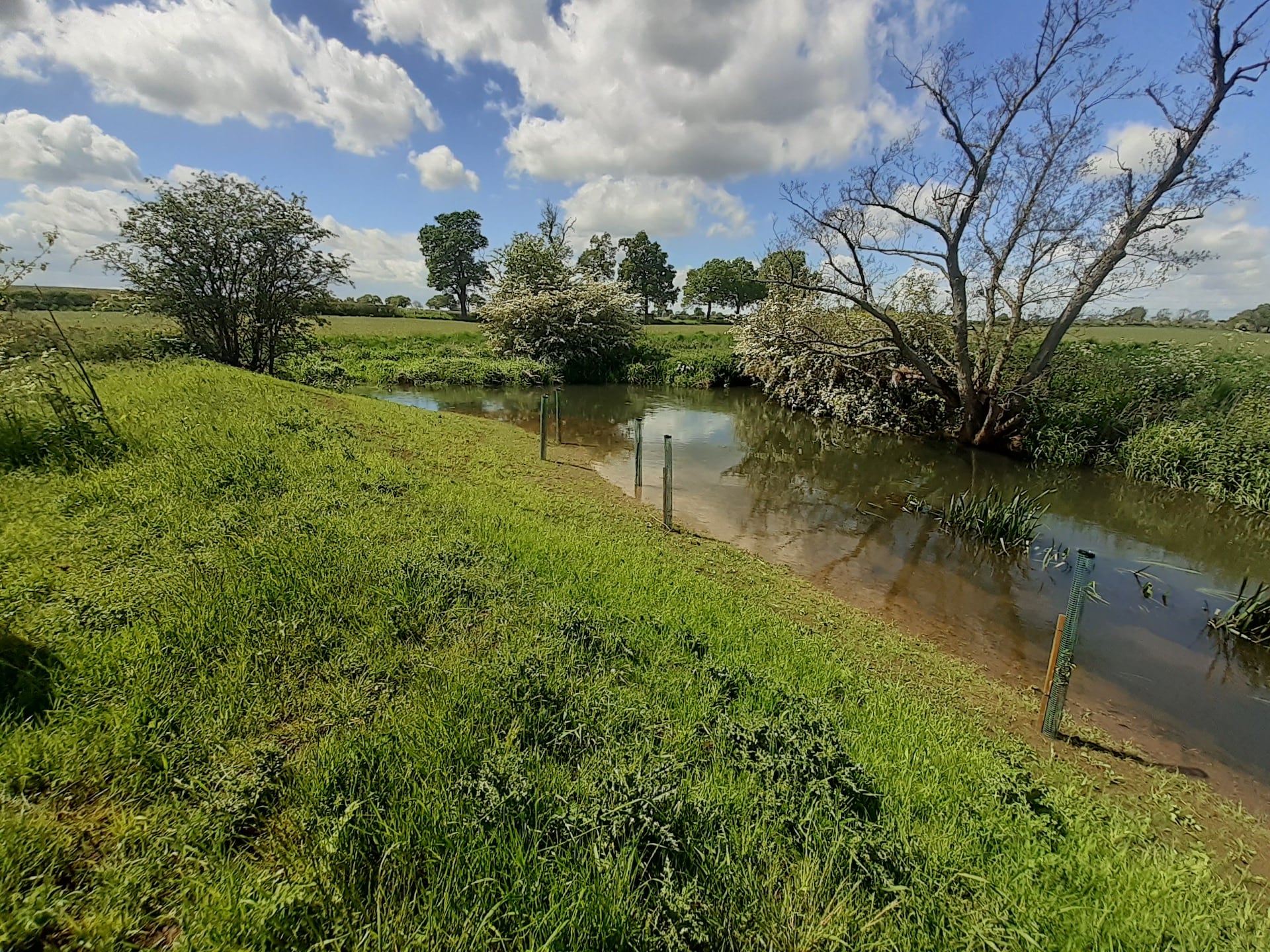 River Mease