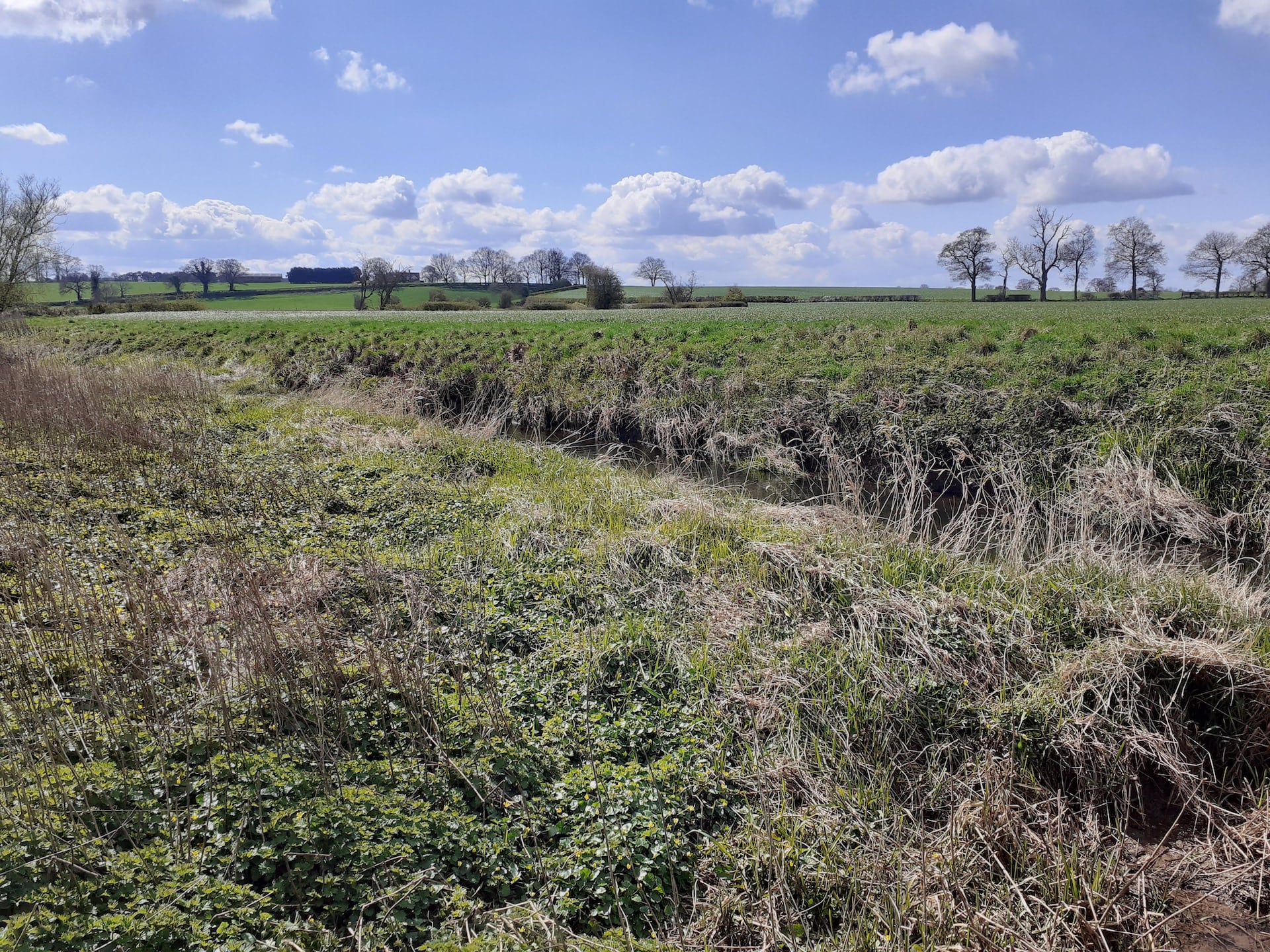 River Mease