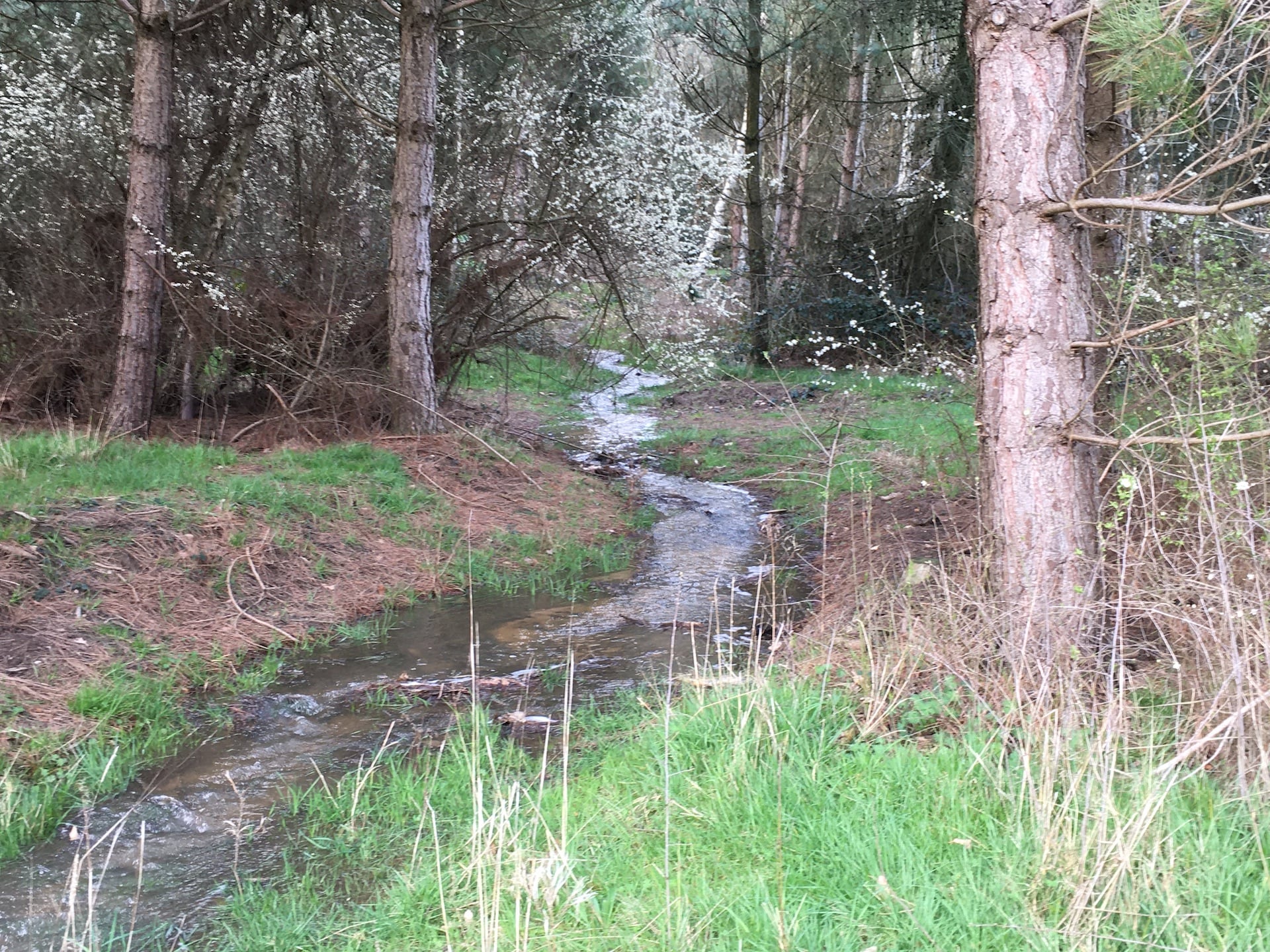 River Mease