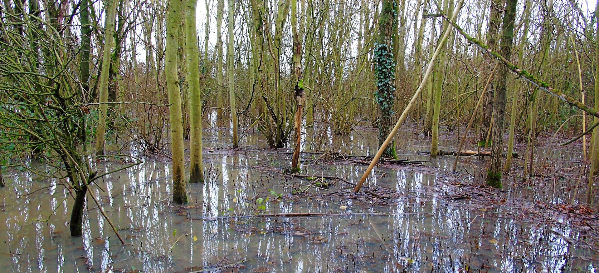 River Mease